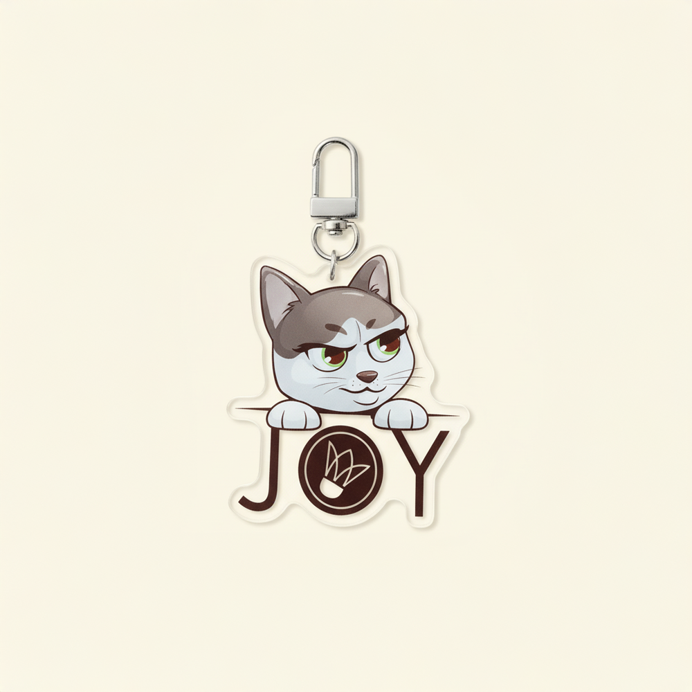 Joy Keyring (Random Color)