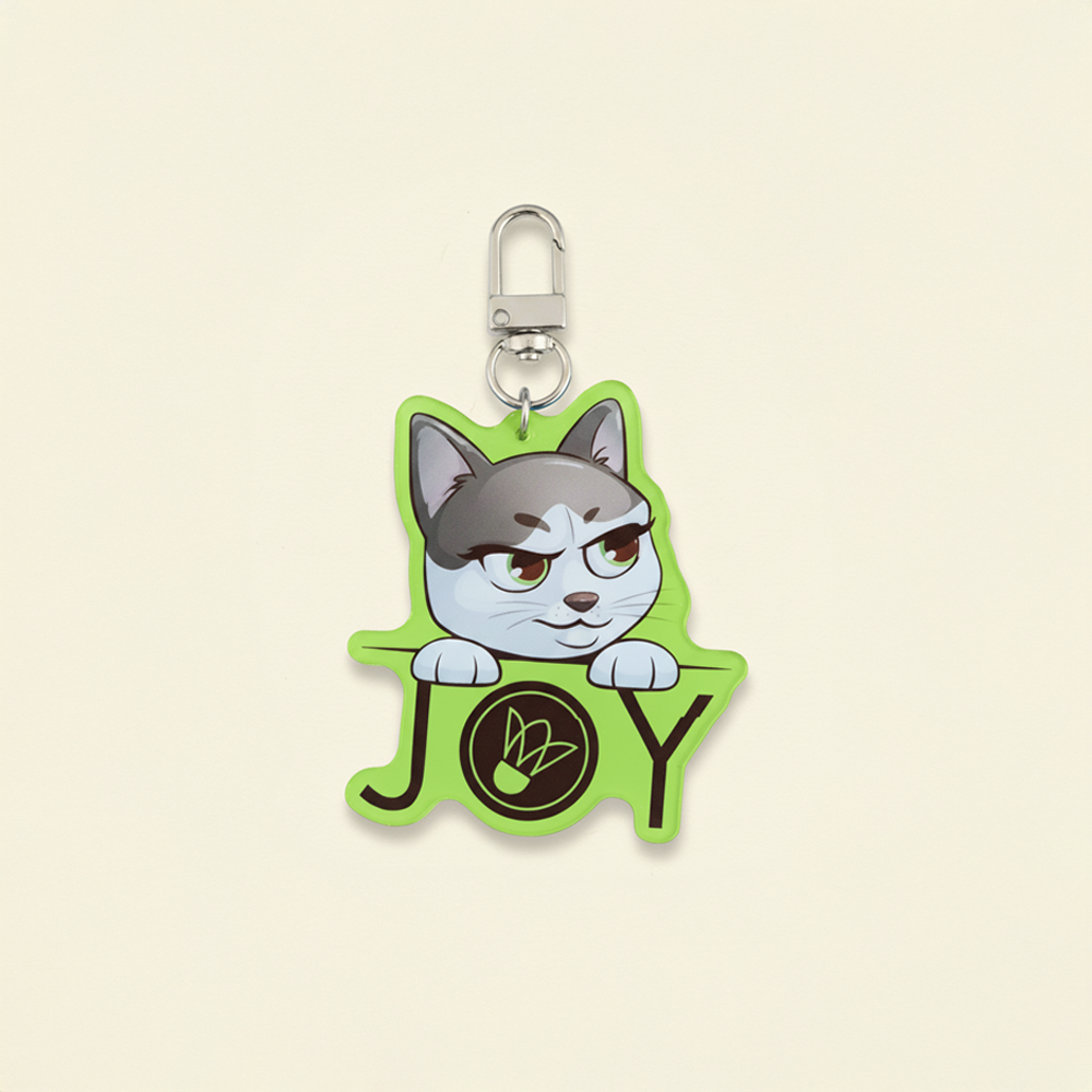 Joy Keyring (Random Color)