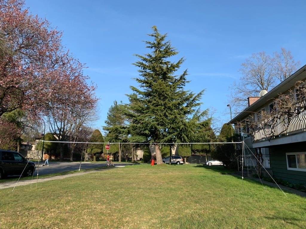 Victor C-7042 Portable Outdoor Badminton Net & Post Set 