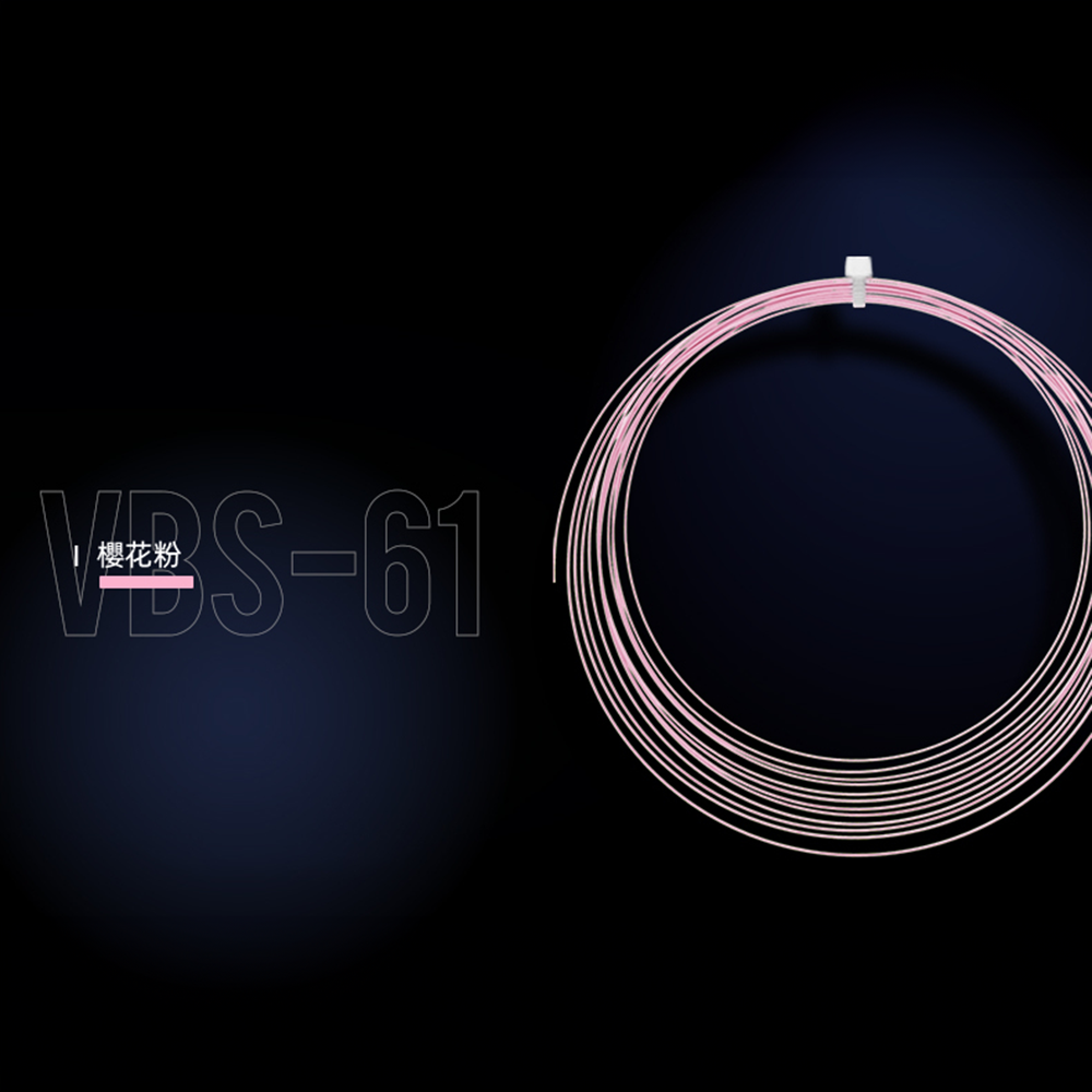 Victor VBS-61 10m Badminton String (2025)
