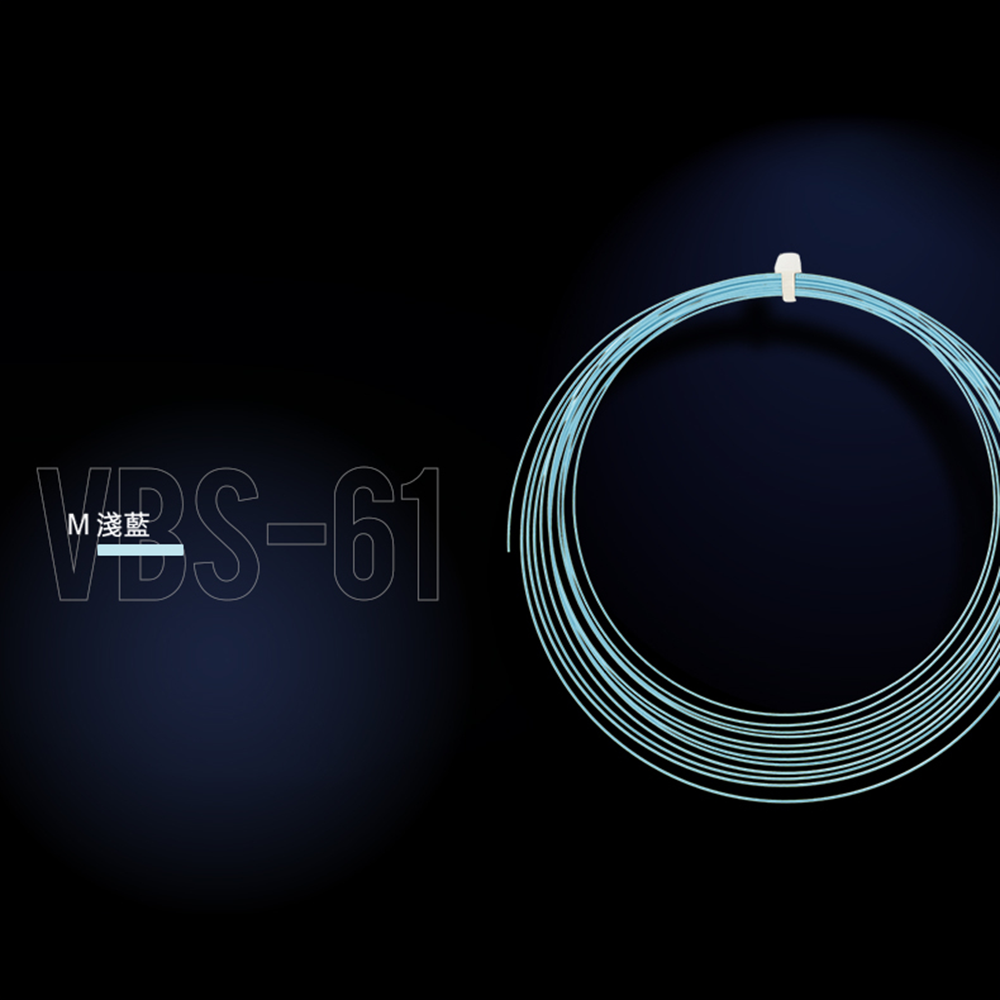 Victor VBS-61 10m Badminton String (2025)