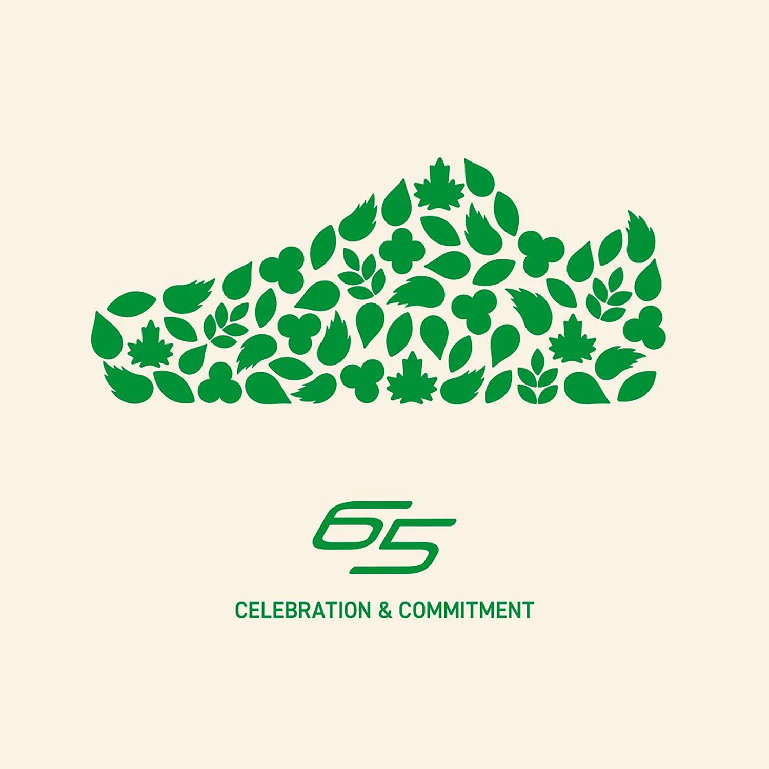 Yonex Power Cushion 65 Z C90 Wide Unisex Limited Edition (Natural) 65 Celebration & Commitment Poster