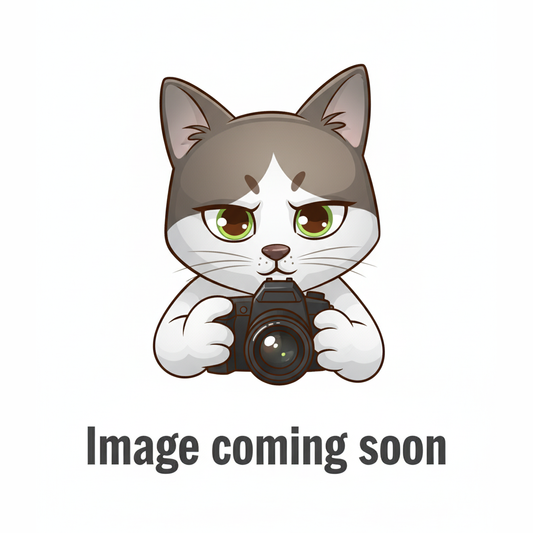 Victor Tai Tzu Ying Badminton Racket Soft Case F-3266 (Green)