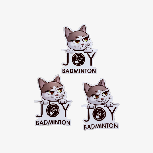 🎁 Joy "Princess" Stickers 3pcs $5.99 (100% off)